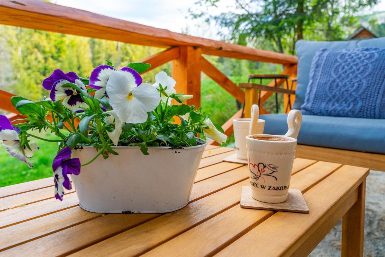 Apartament Lesny Закопане Екстер'єр фото